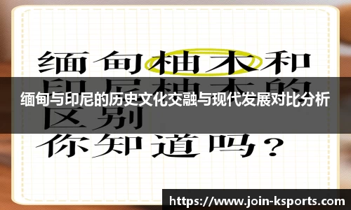 缅甸与印尼的历史文化交融与现代发展对比分析
